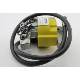 Zündspule BRIGGS & STRATTON 298968