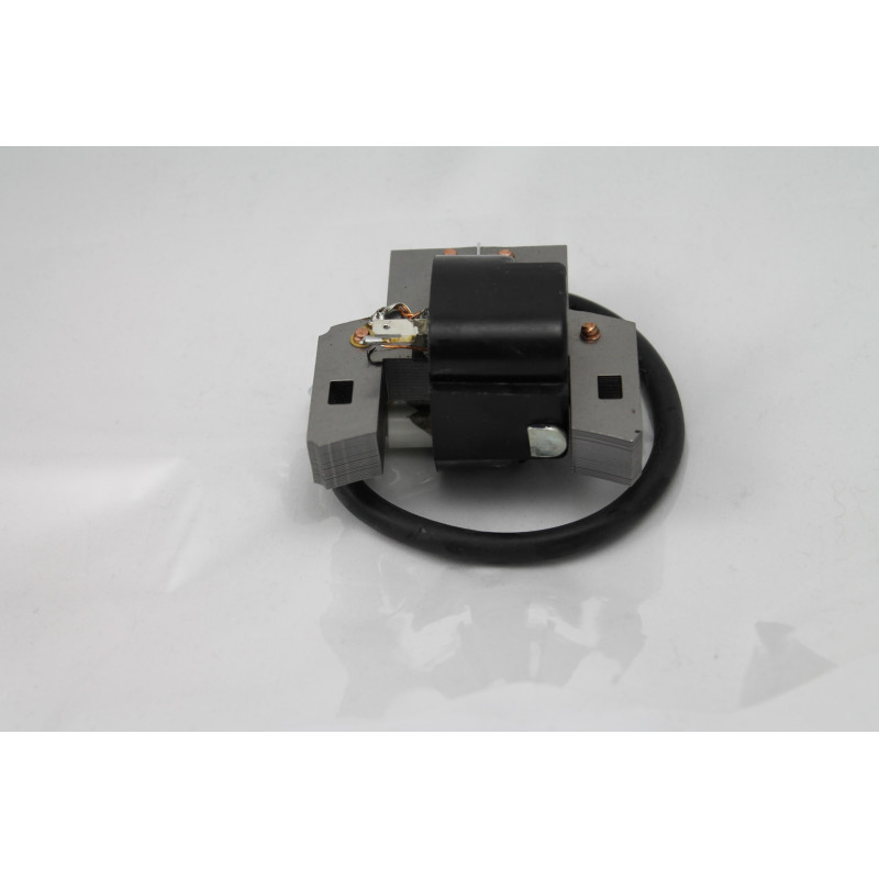 Zündspule BRIGGS & STRATTON 397358