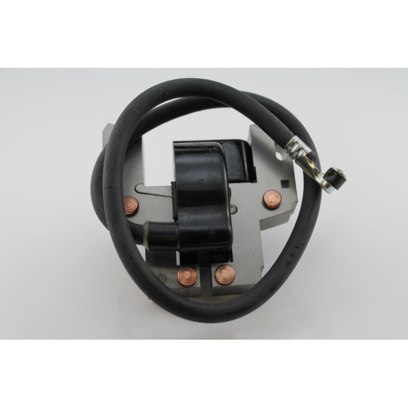 Zündspule BRIGGS & STRATTON 492341, 495859