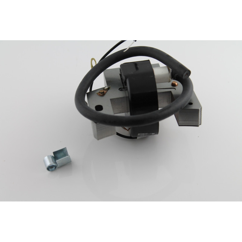 Zündspule BRIGGS & STRATTON 298316