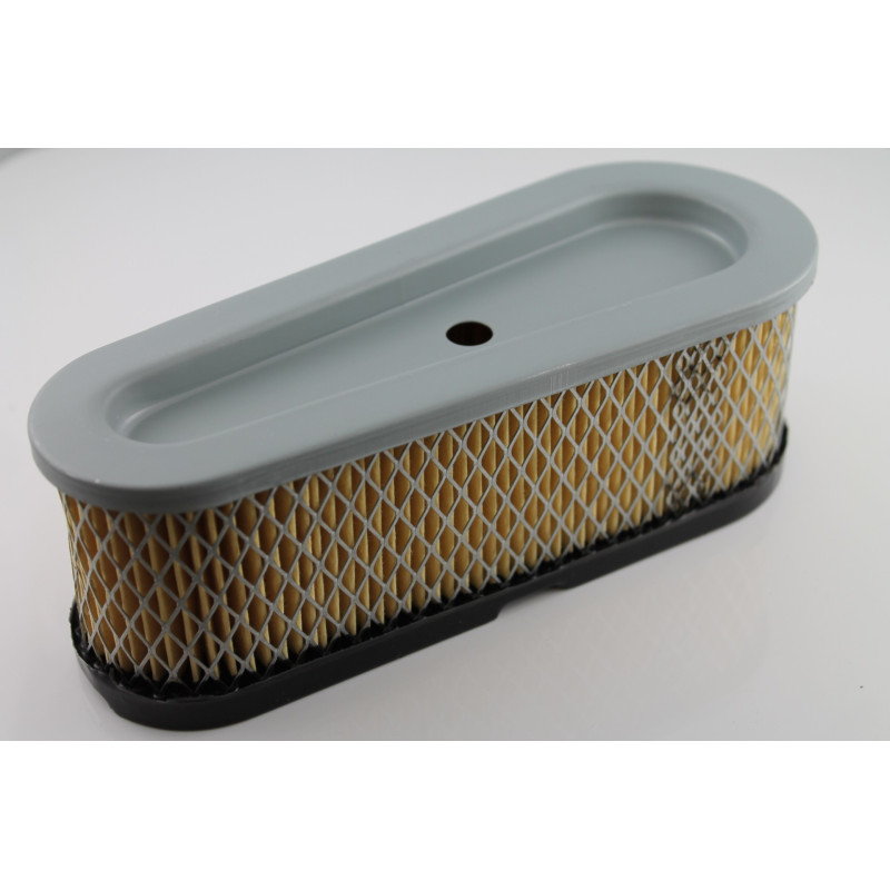 Luftfilter BRIGGS & STRATTON 493910, 691667