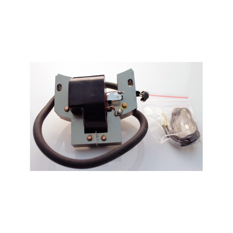 Zündspule BRIGGS & STRATTON 398593, 496914