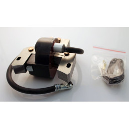 Zündspule BRIGGS & STRATTON 398593, 496914