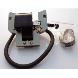 Zündspule BRIGGS & STRATTON 398593, 496914