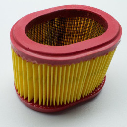 Luftfilter BRIGGS & STRATTON 790166