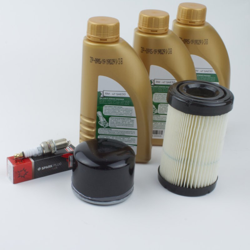 Wartungssatz Briggs & Stratton Model 31 - Series 4 INTEK I/C OHV 31R7, 31R8, 319