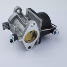 Vergaser TECUMSEH OHV110, OHV125, OHV130, OHV135, OHV358EA